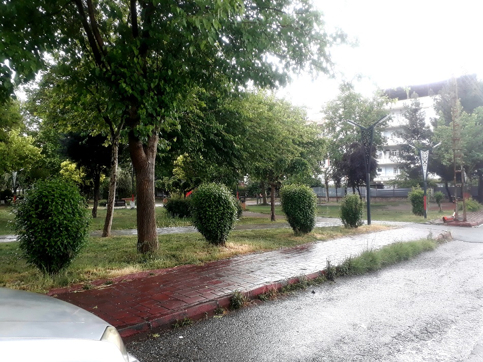 Yeşil, yağmura doydu!