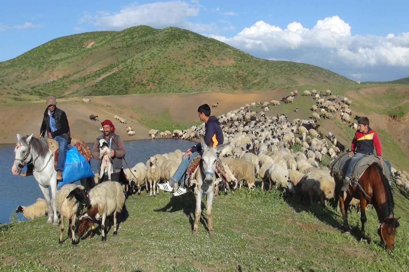 Zorlu yayla yolculuğu başladı