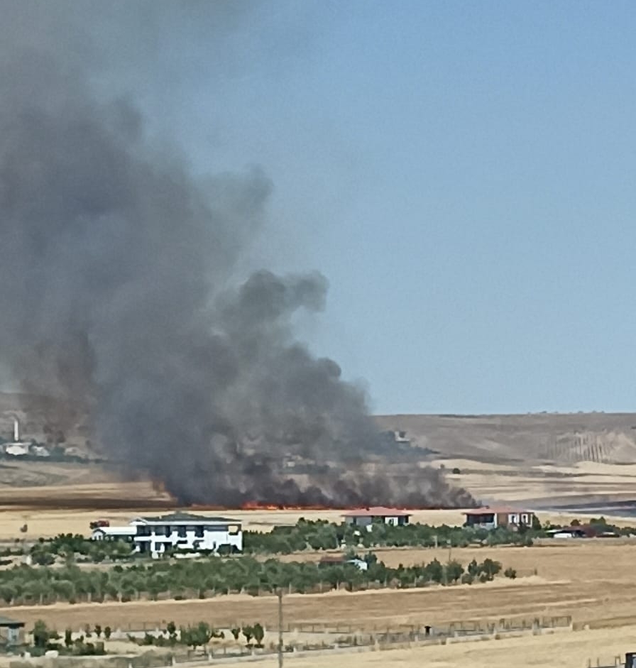 Anız yangını şehri dumana boğdu