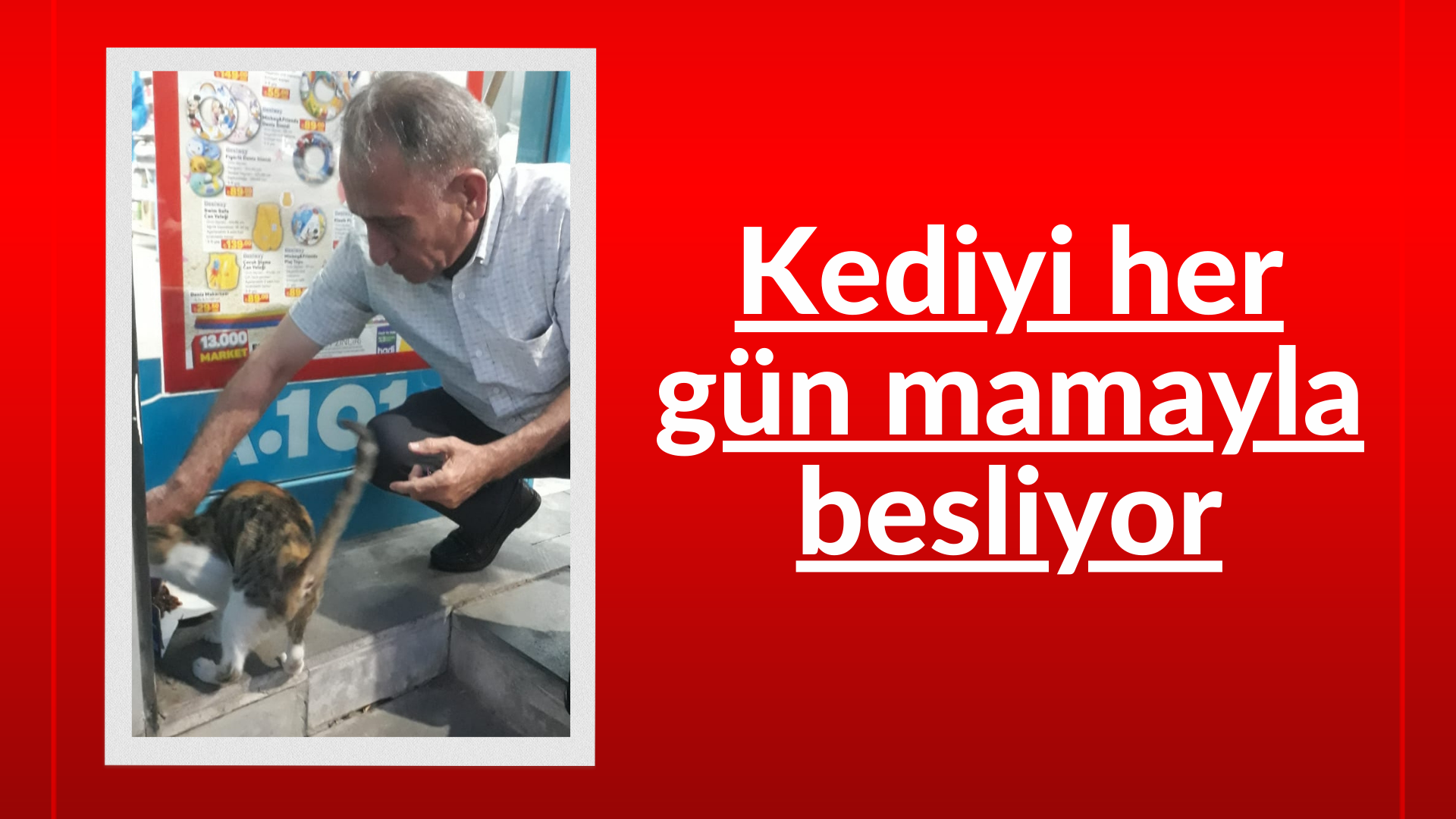 Kediyi her gün mamayla besliyor