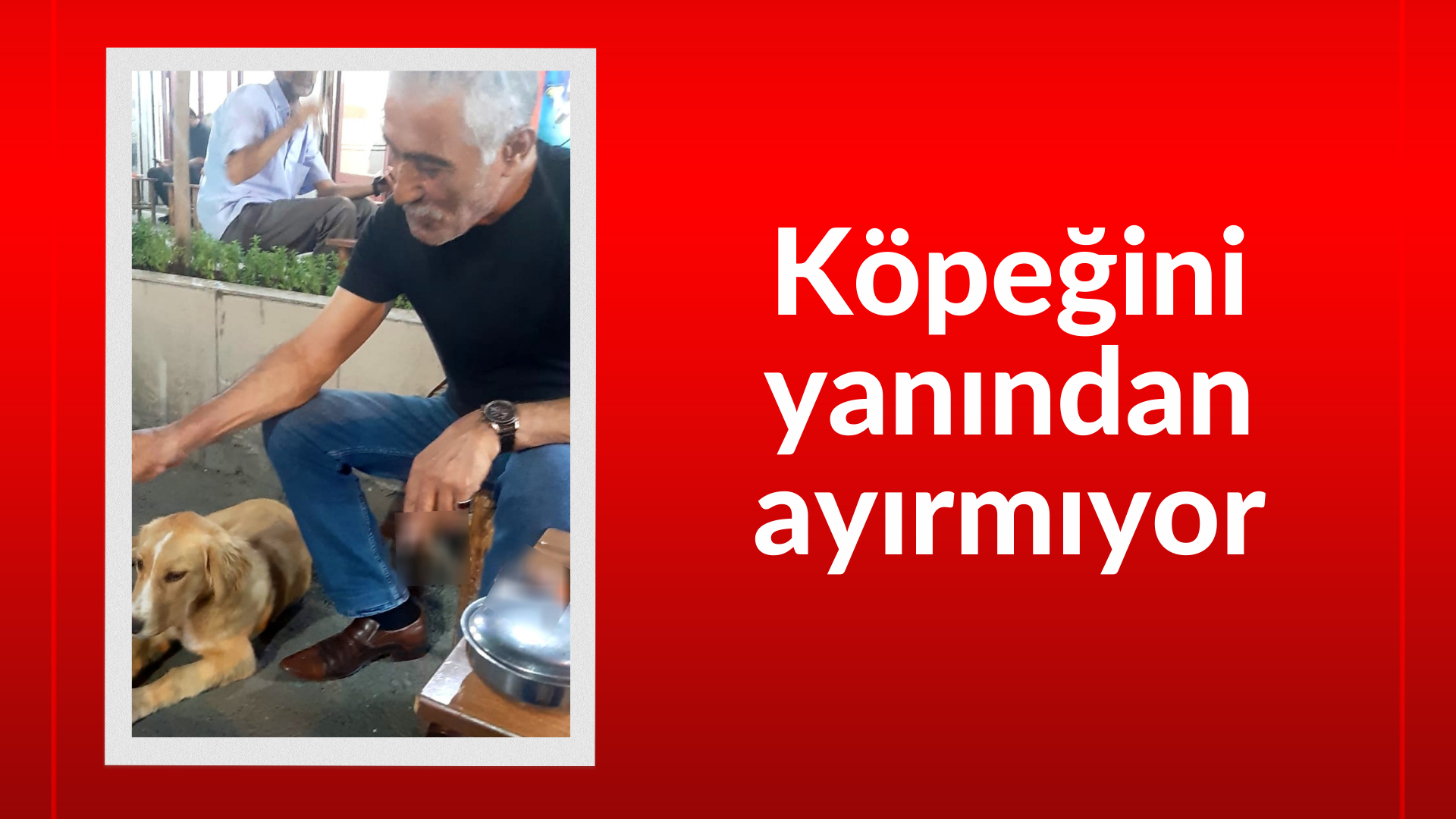 Köpeğini yanından ayırmıyor