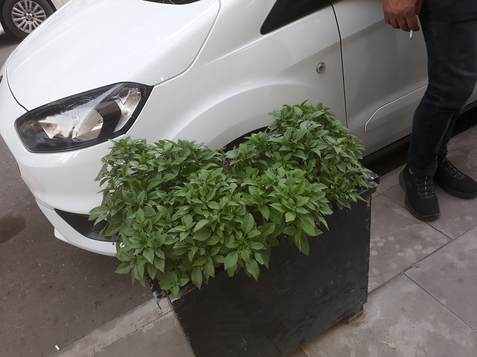 Çevreye ‘yeşil’ katkı