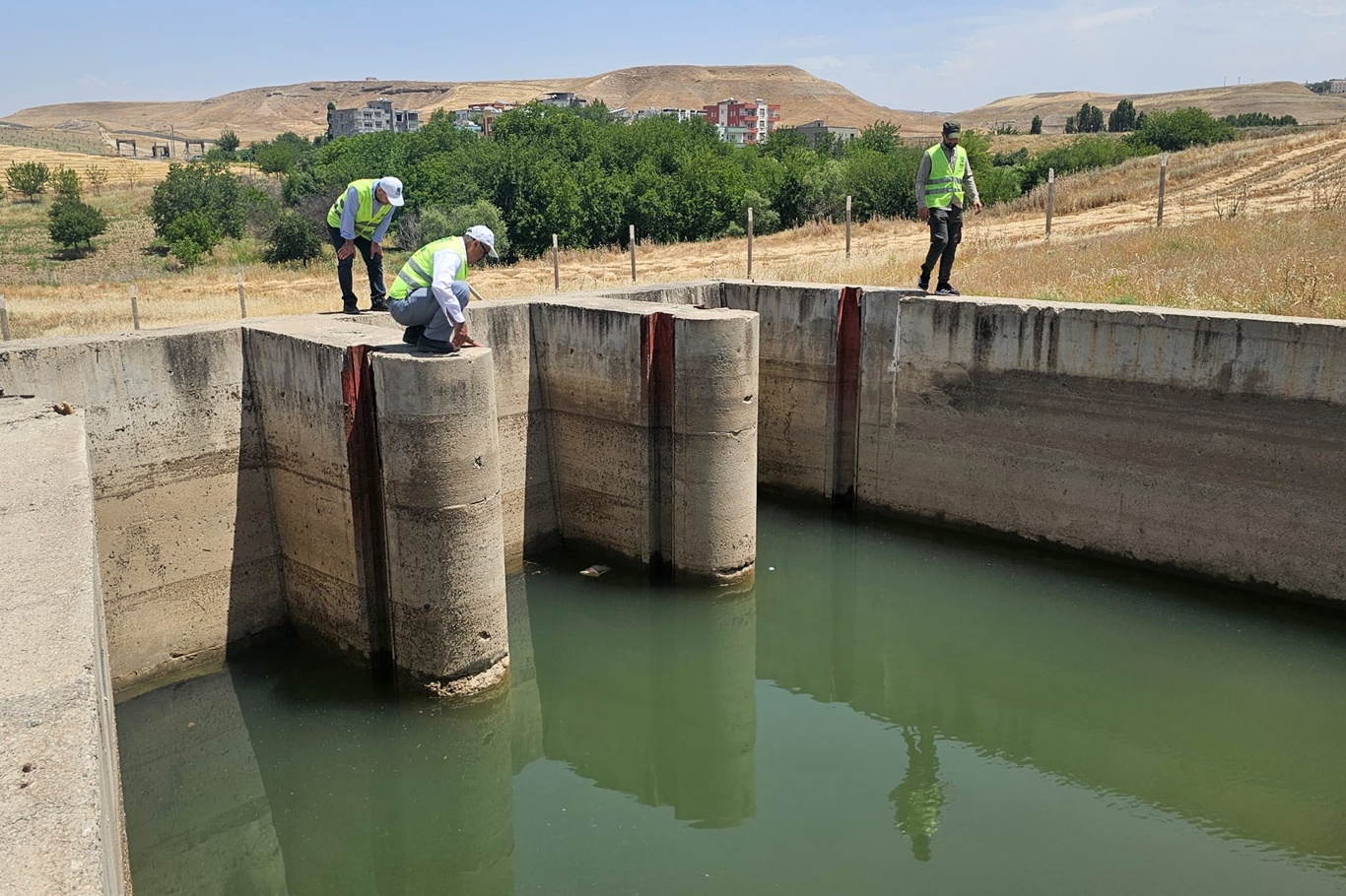 Kayıp çoban bulunamıyor