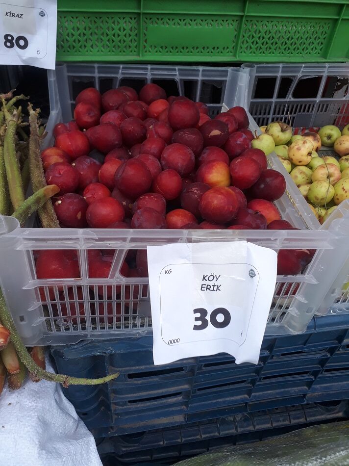 Köy eriği tezgahlarda