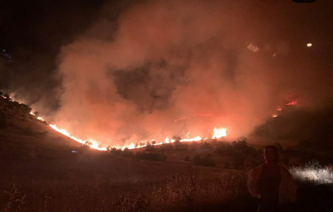 Sönük, yangın bölgesindeydi