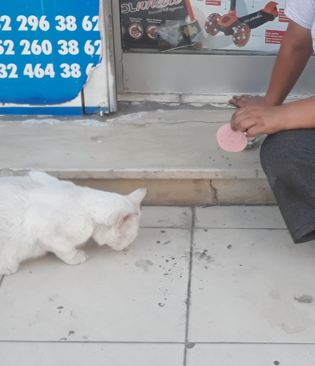 Küçük çocuktan örnek davranış