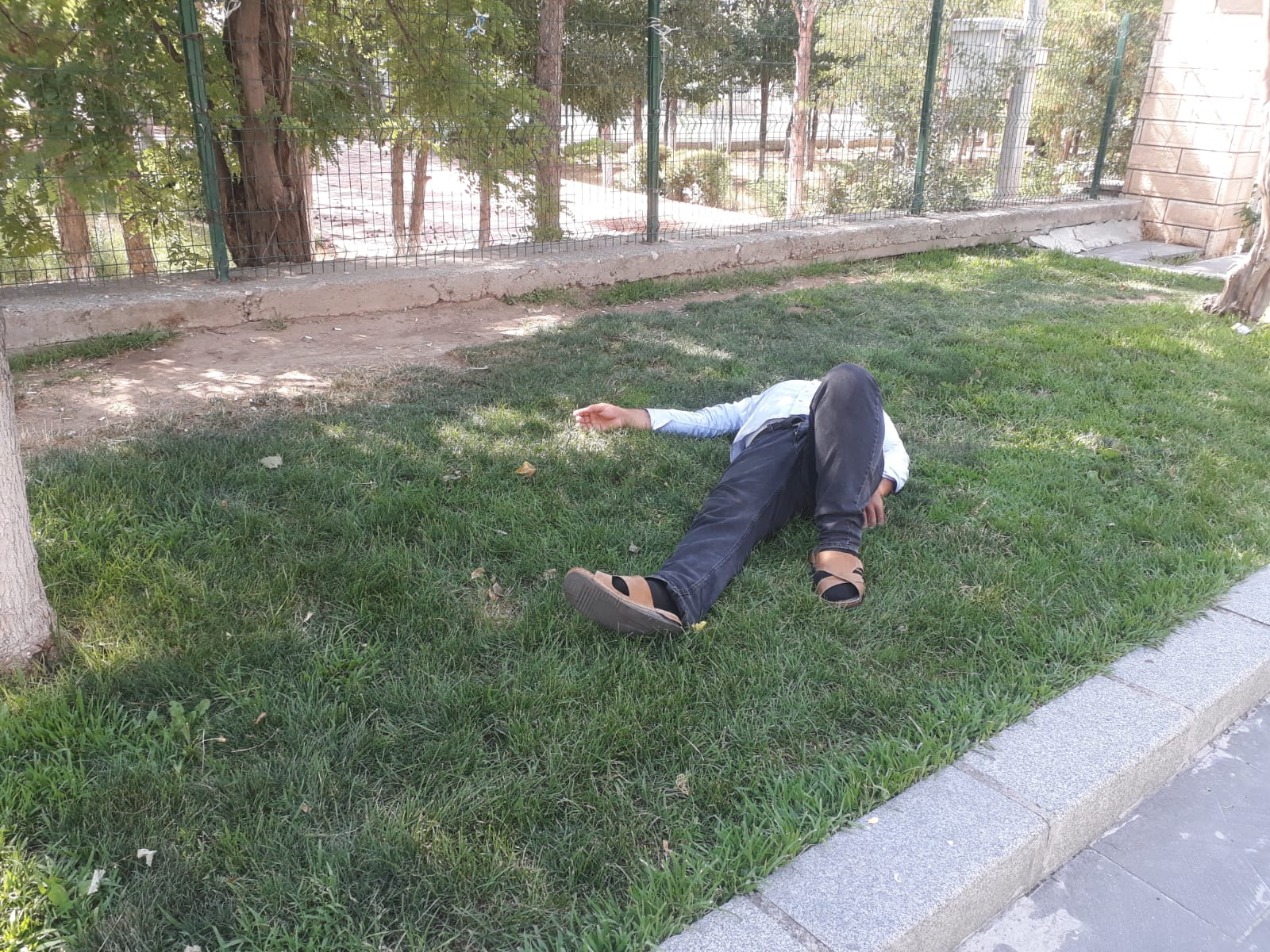 Sere serpe serinlik!