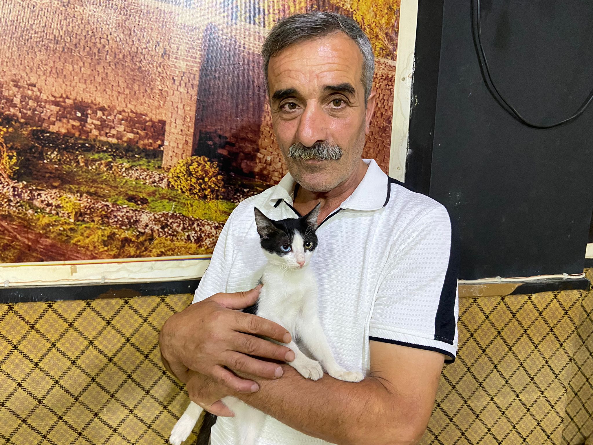 Tedavisi yapılan kedi, sahibine teslim edildi