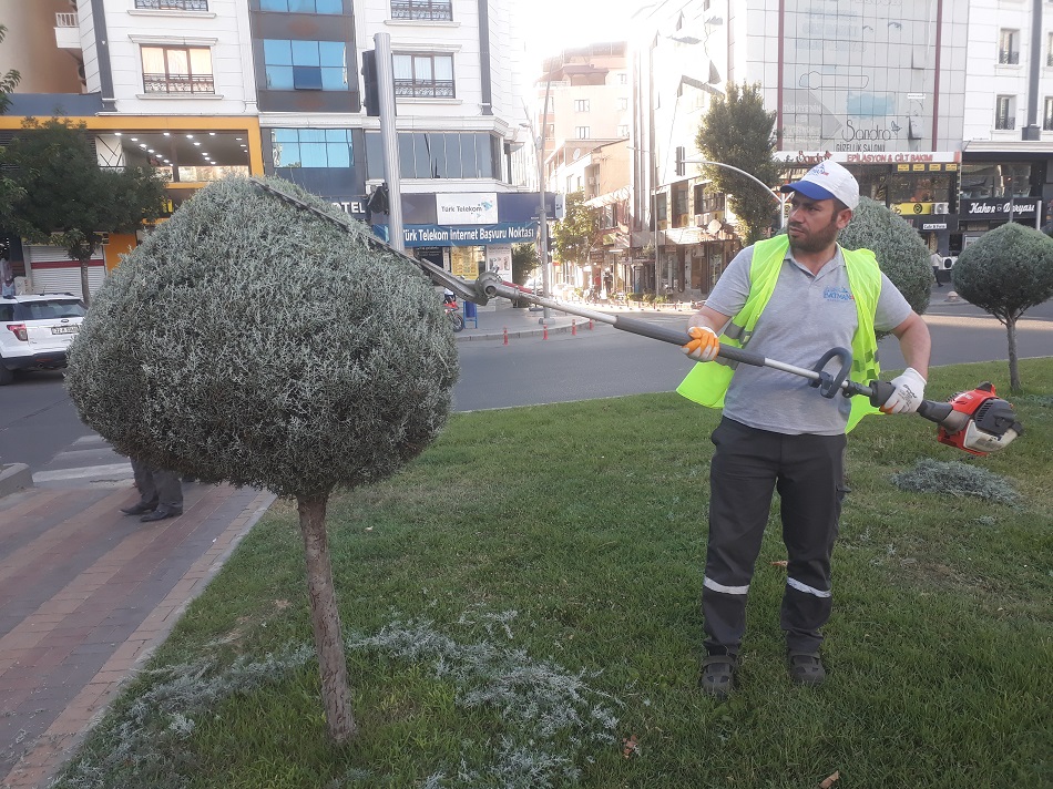 Yabancı otları temizlediler