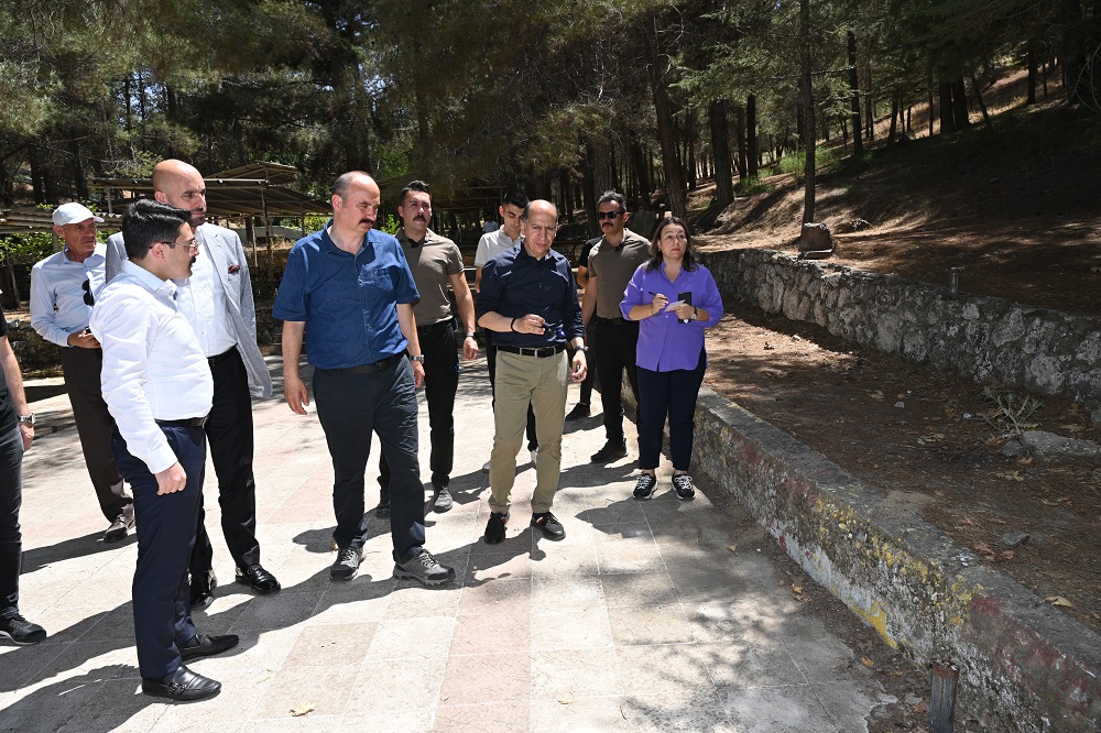 72 dönümlük arazi, mesire alanına dönüşecek