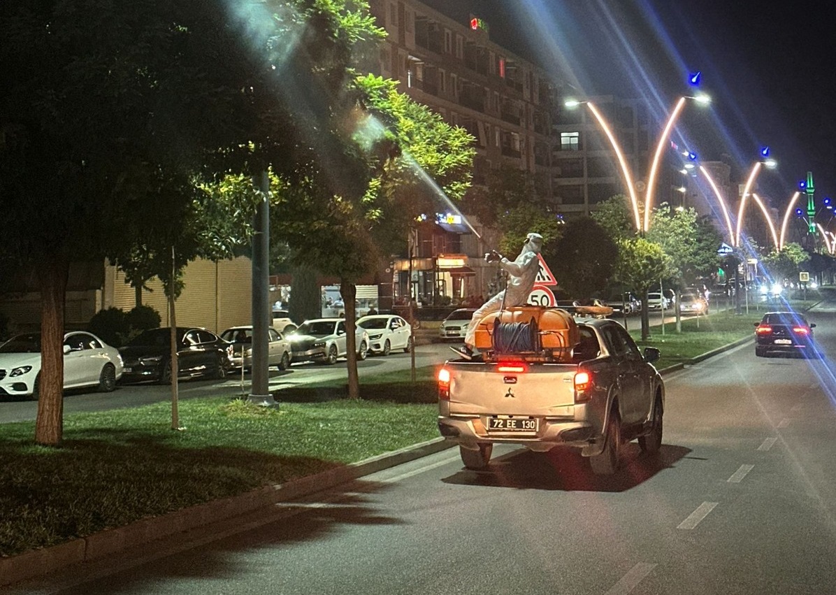 Geniş çaplı ilaçlama başlatıldı