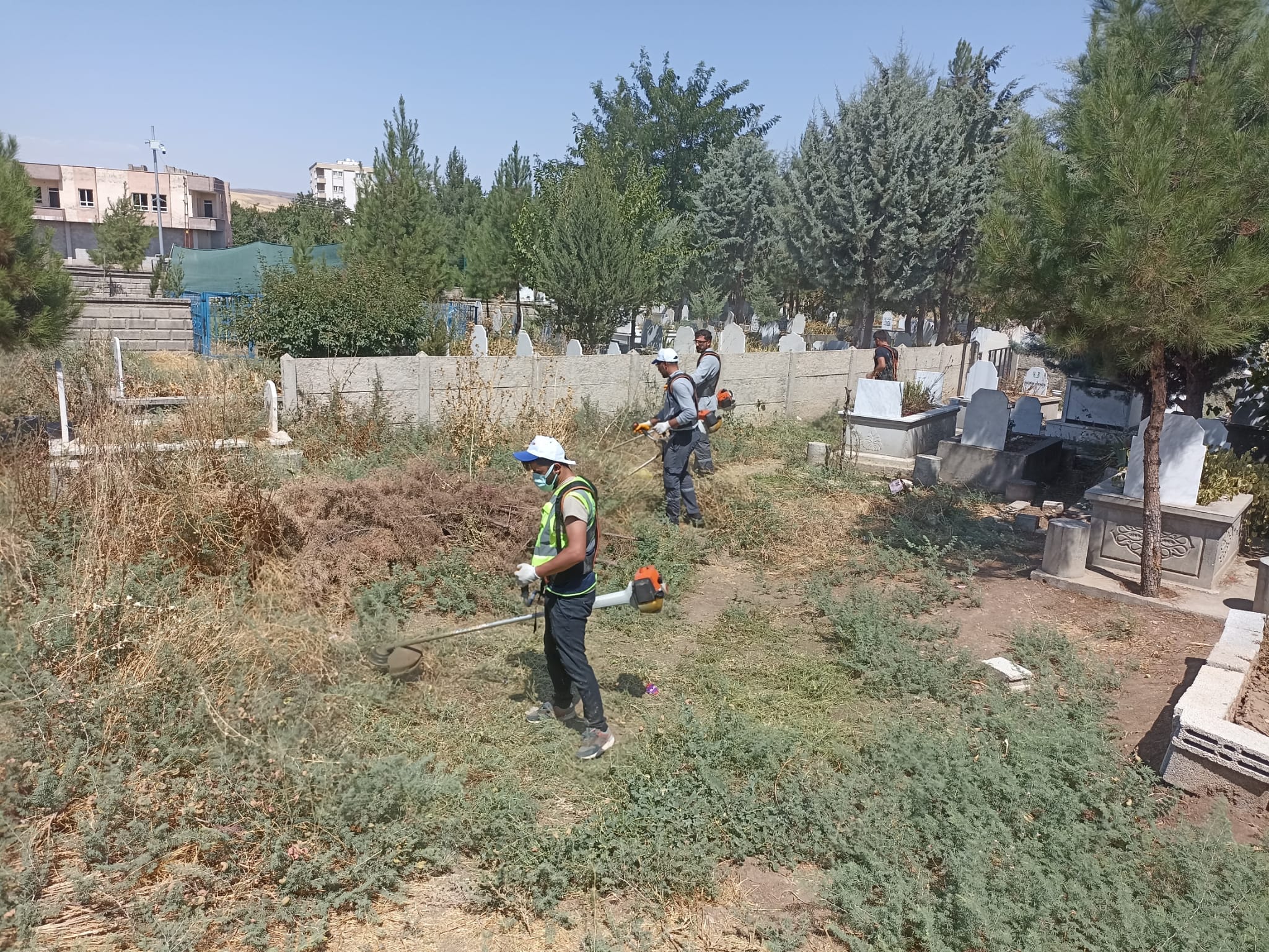 Mezarlıklarda kapsamlı temizlik