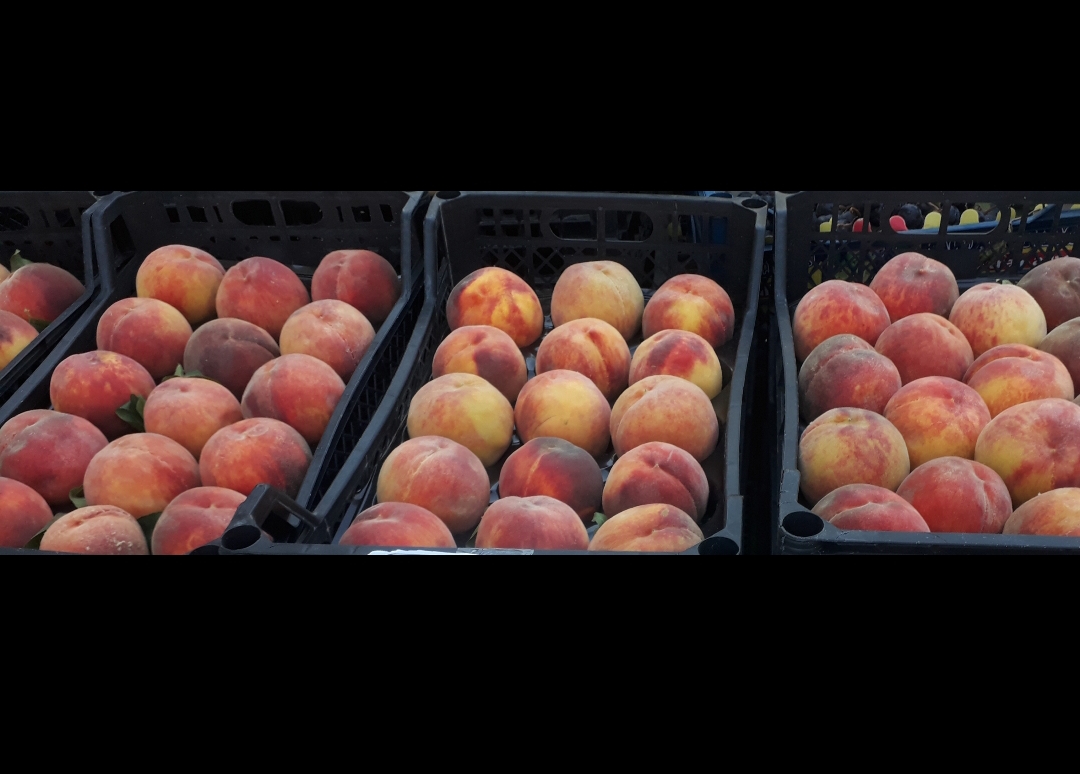 Şeftali fiyatları inişe geçti