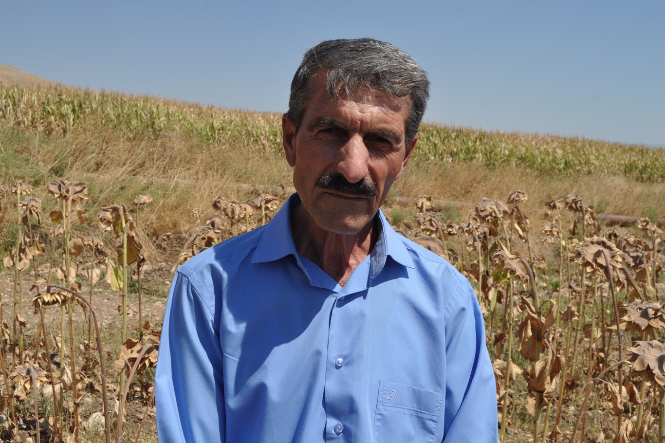 “Verim beklentilerimizin üzerinde”