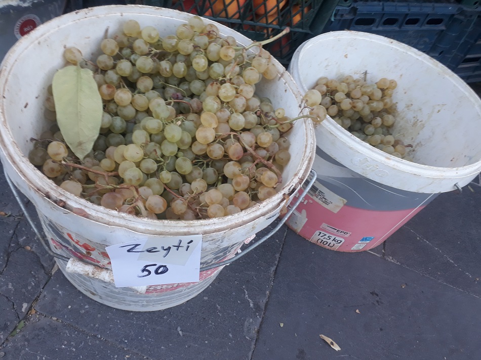 Zeyti üzümü 50 lira