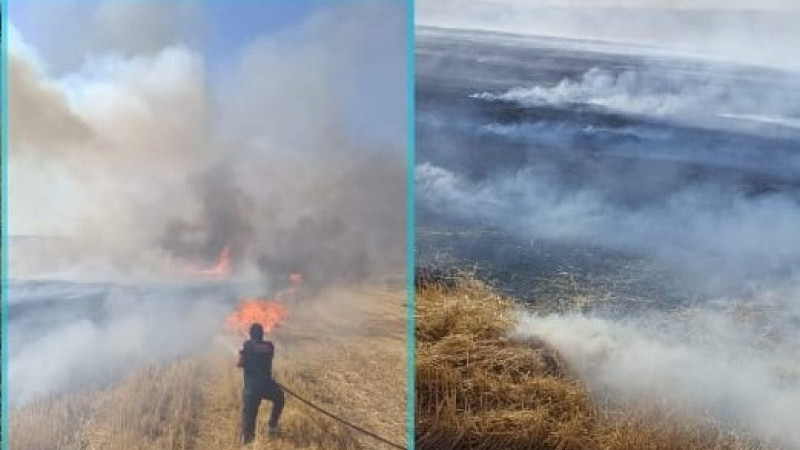 200 Dönüm arazi küle döndü