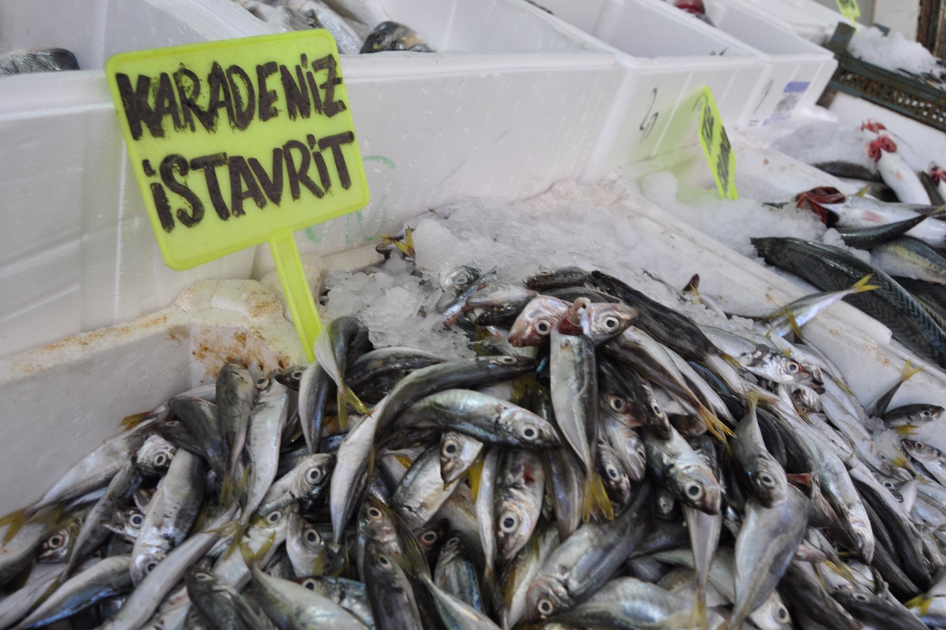 Balık sezonu yüz güldürüyor