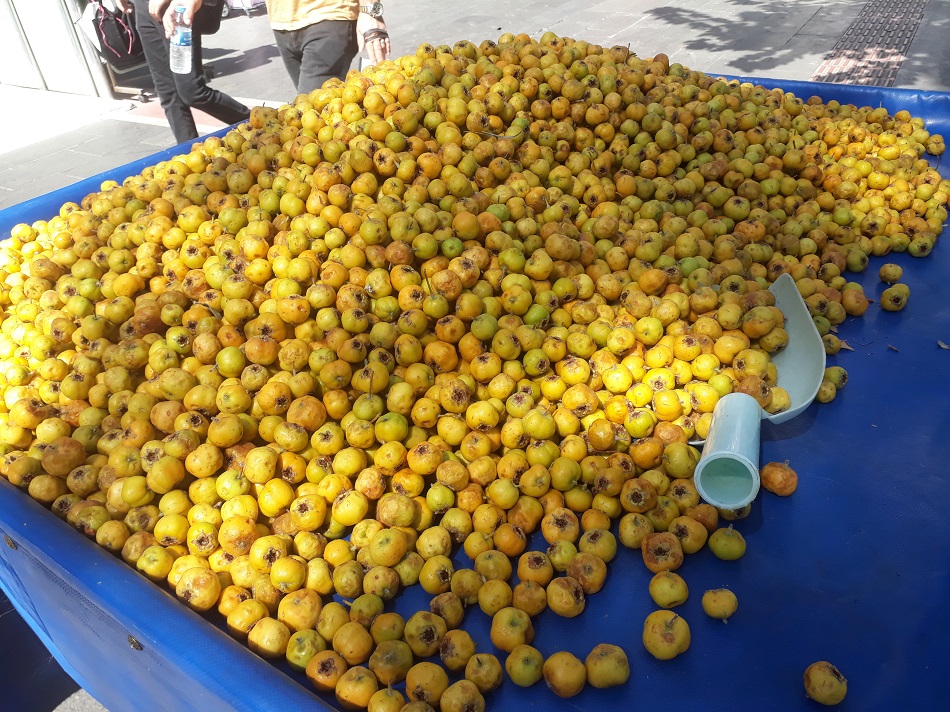 Kışın habercisi tezgahlarda