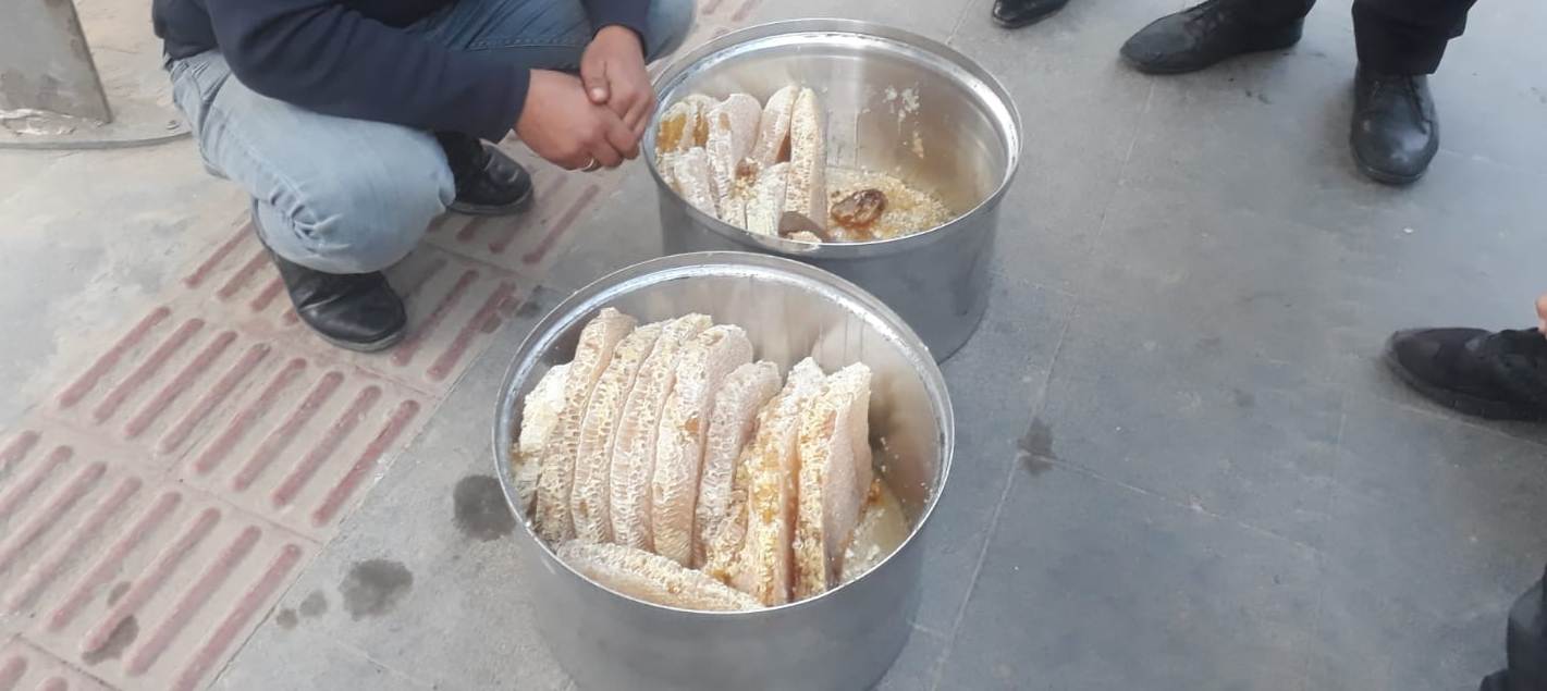 “Pervari balı her derde deva”