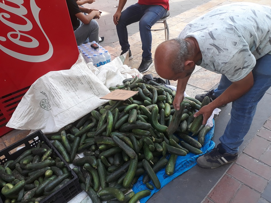 Salatalık 5 liraya düştü!