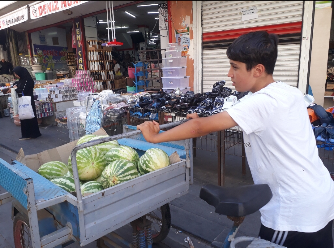 Tanesini 10 liradan sattı