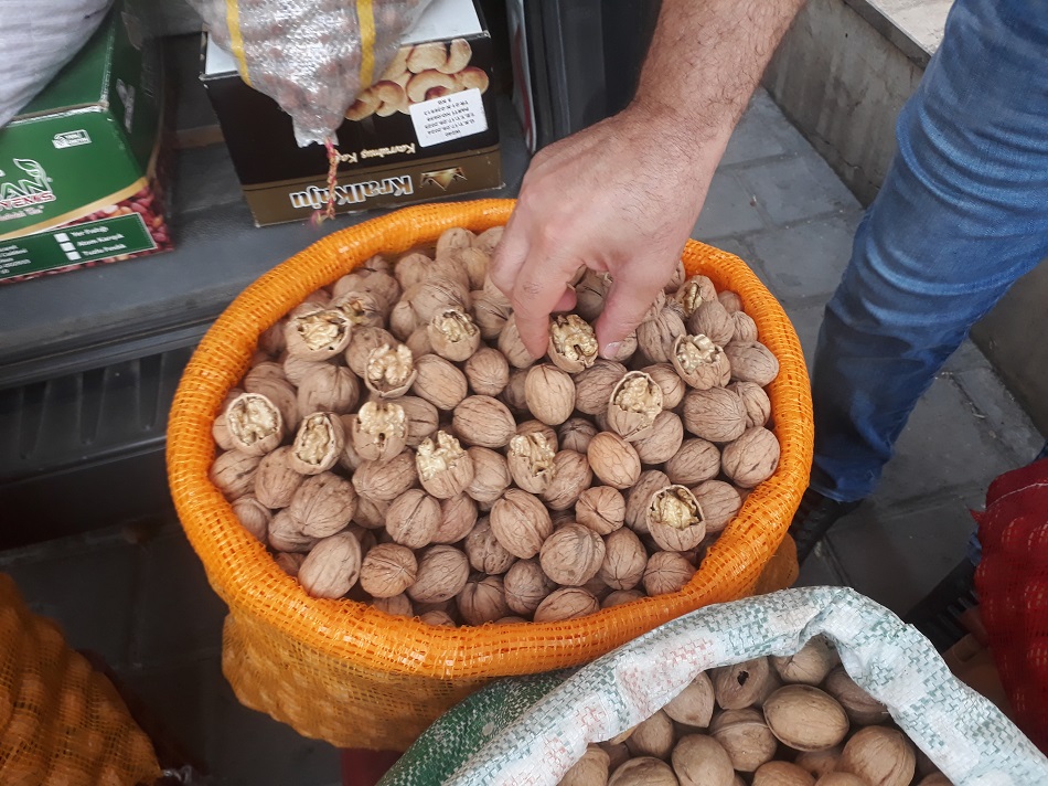 “Yaş ceviz, kurudan daha faydalı”