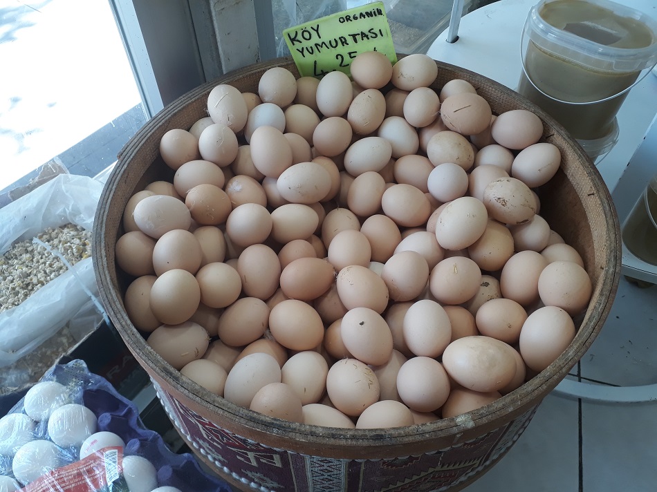 Yumurta yükselişini sürdürüyor