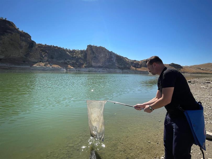 Balık ölümleriyle ilgili numune alındı
