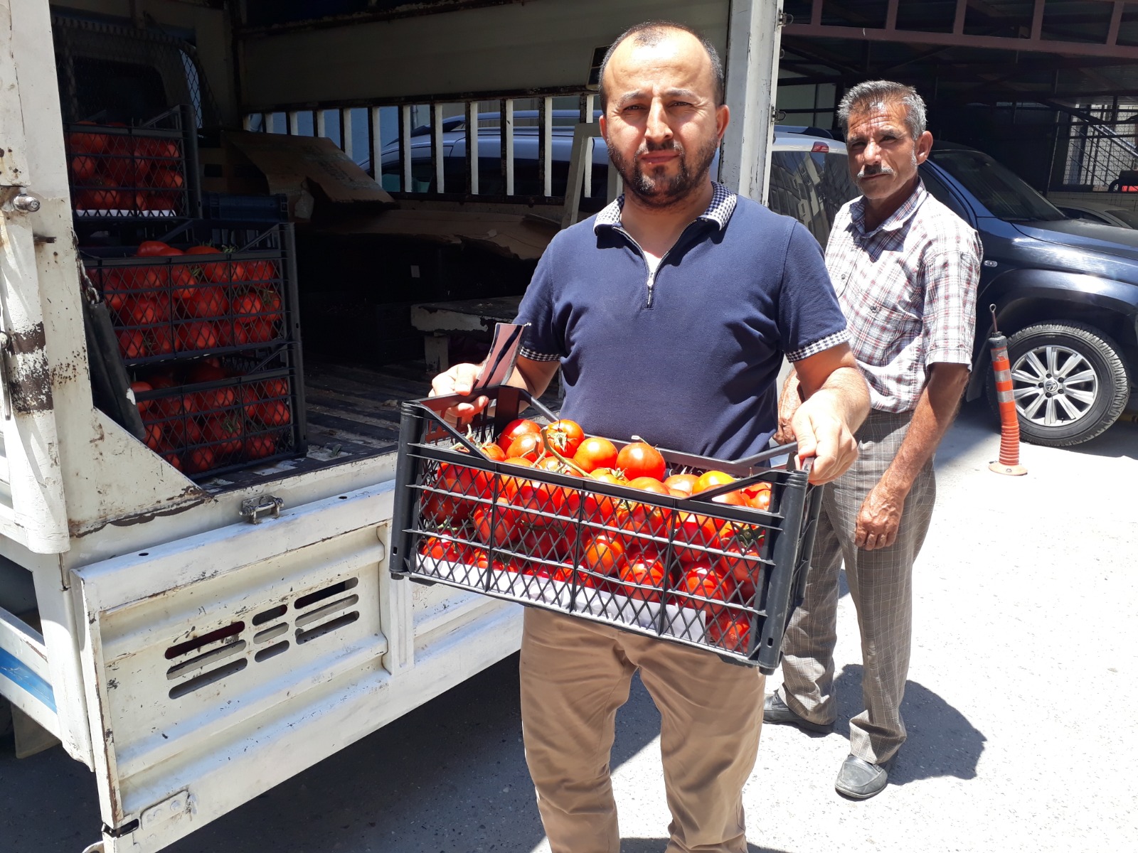 Köy domateslerine yoğun ilgi