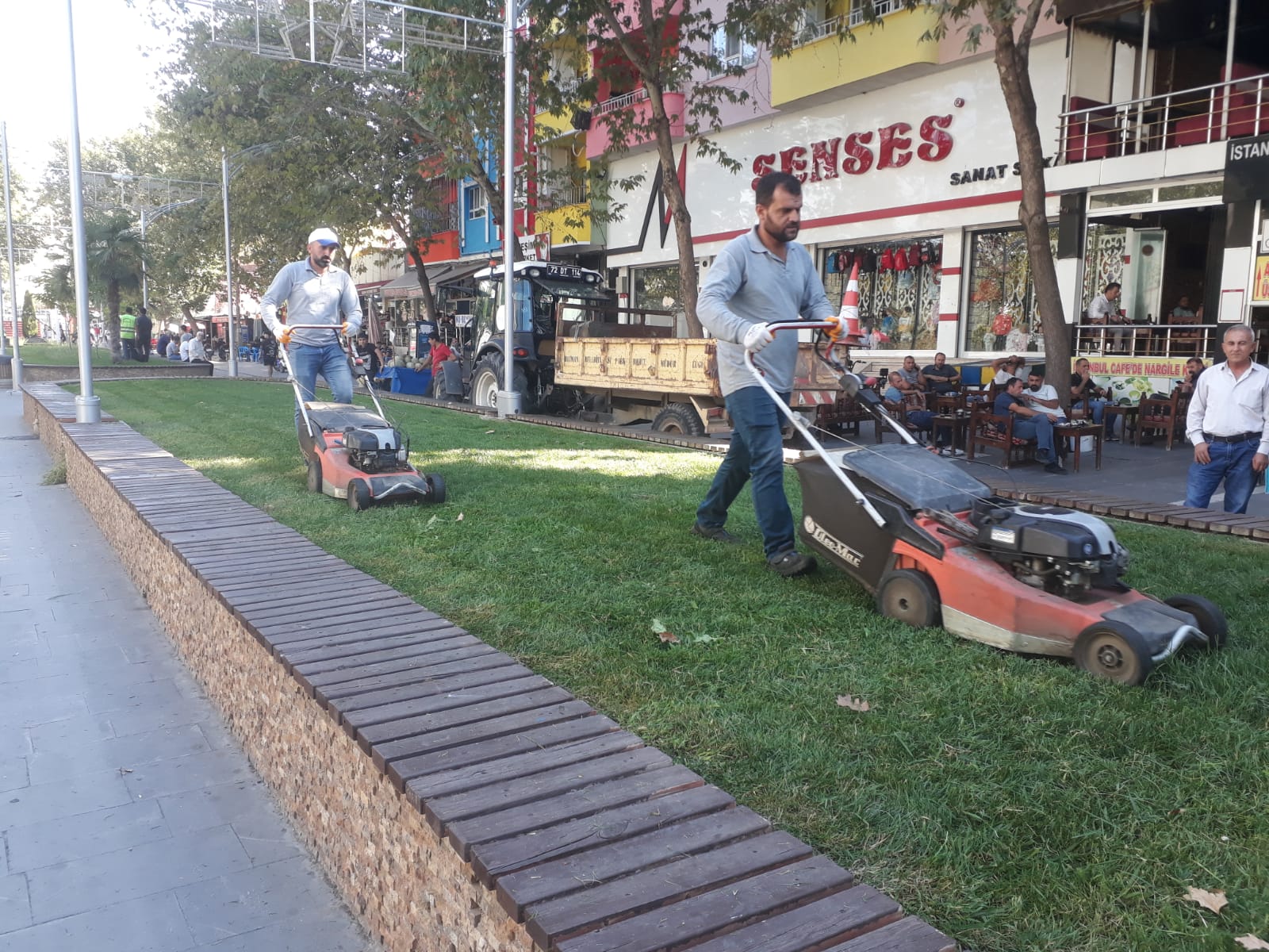 Refüj çimleri tıraşlandı