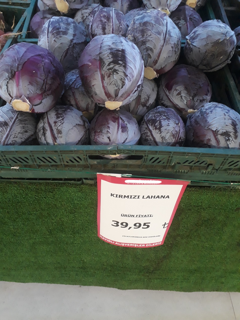 Kırmızı lahana 40 lira