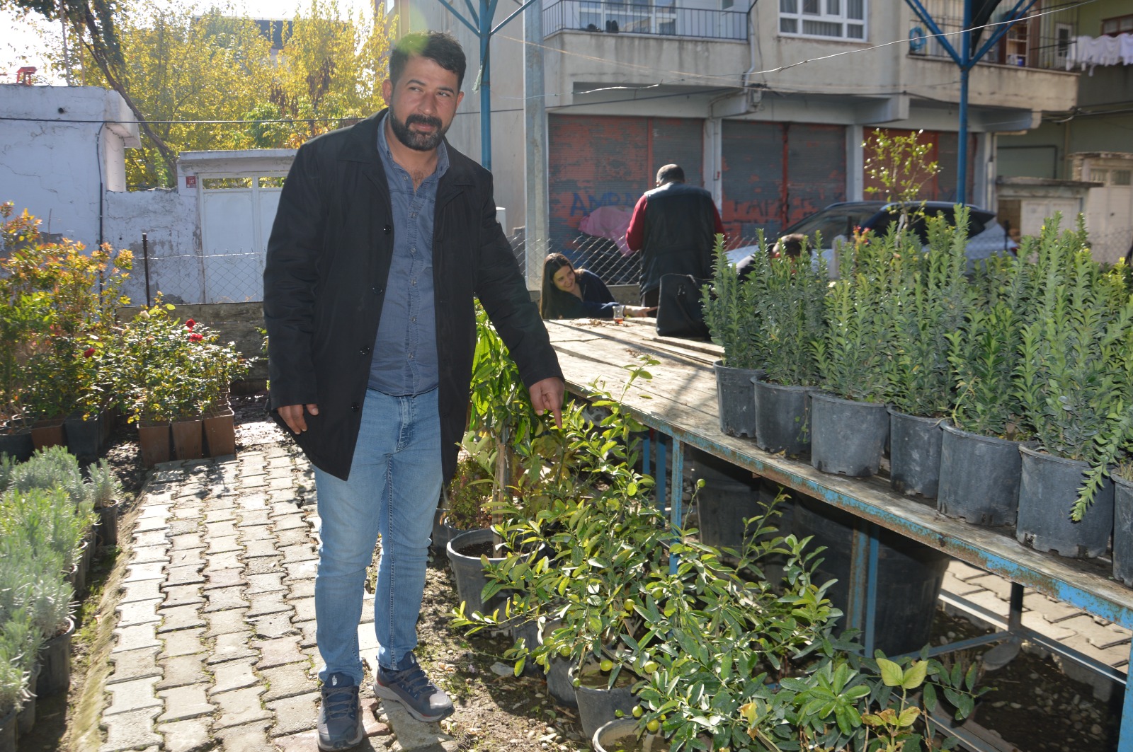 Narenciye fidanlarına rağbet