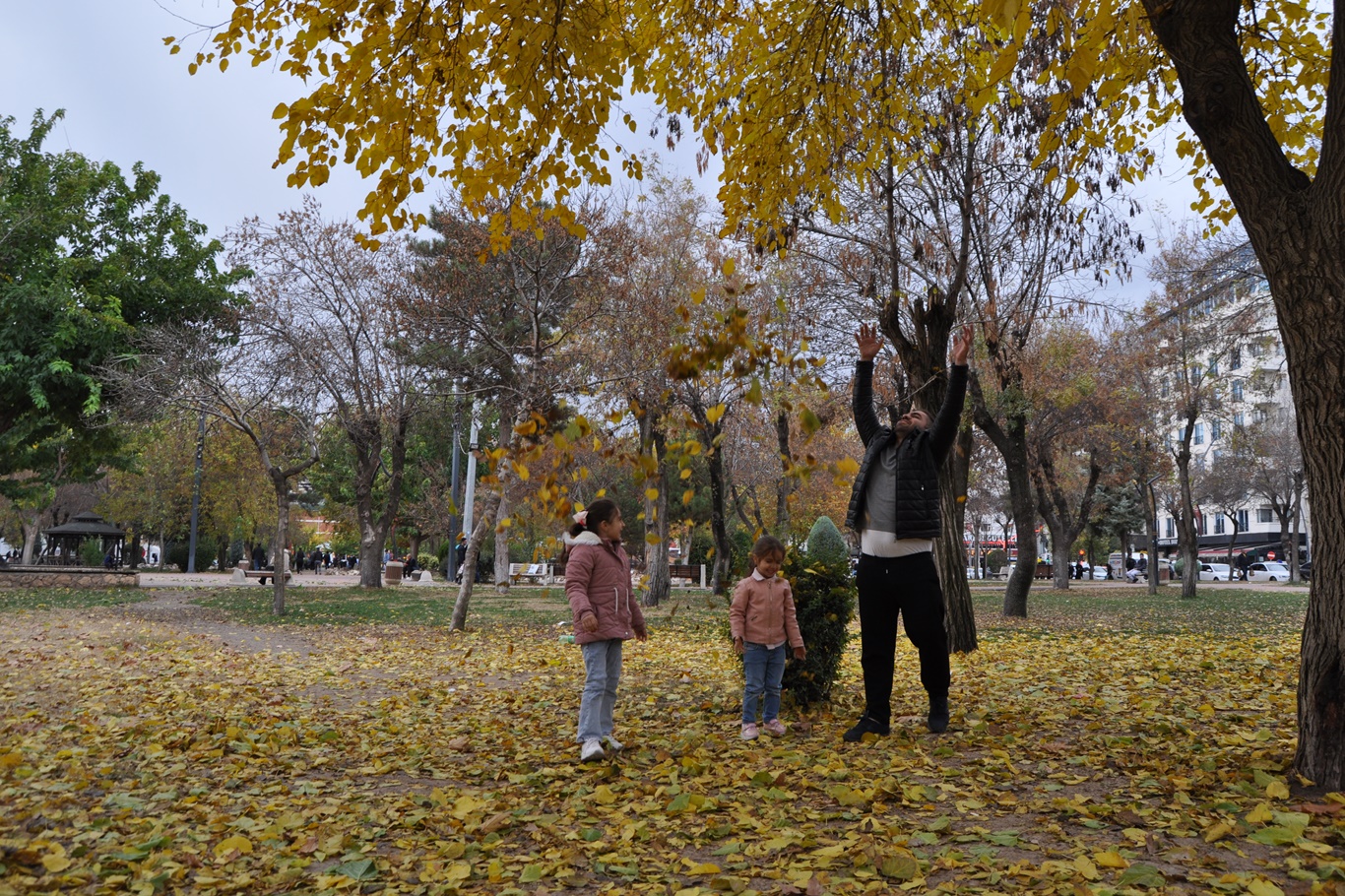 Yaprak dökümüyle kartpostallık manzaralar