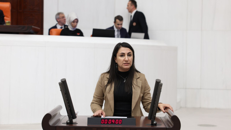 Gazetecilerin sorunlarını meclise taşıdı