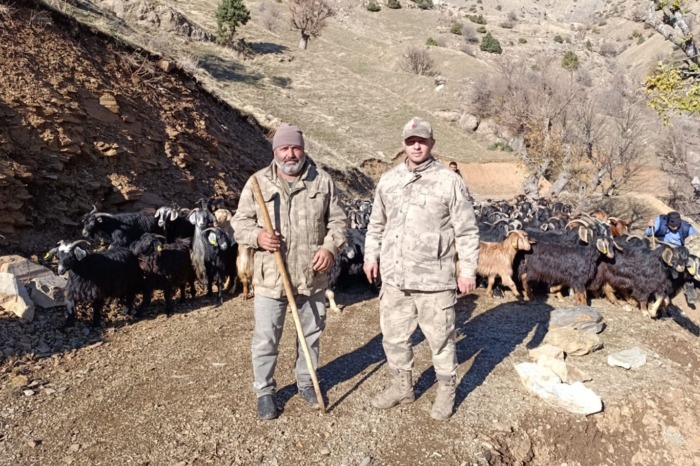 150 Kayıp keçi bulundu