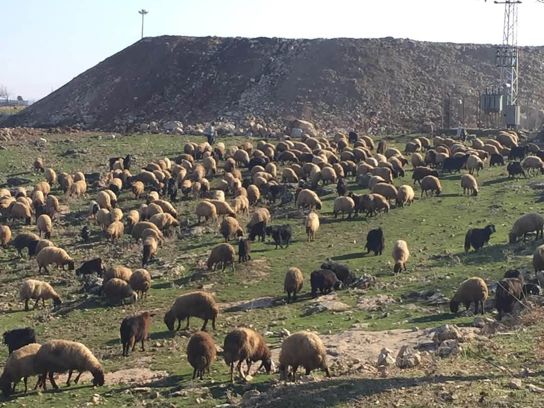 Besiciler maliyetlerden şikayetçi