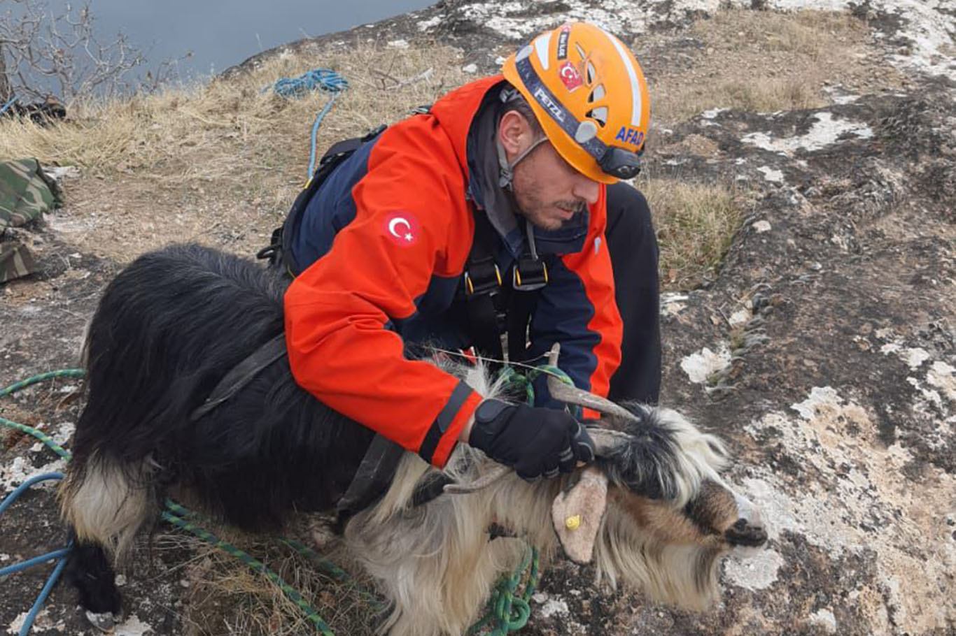 Mahsur kalan keçi kurtarıldı