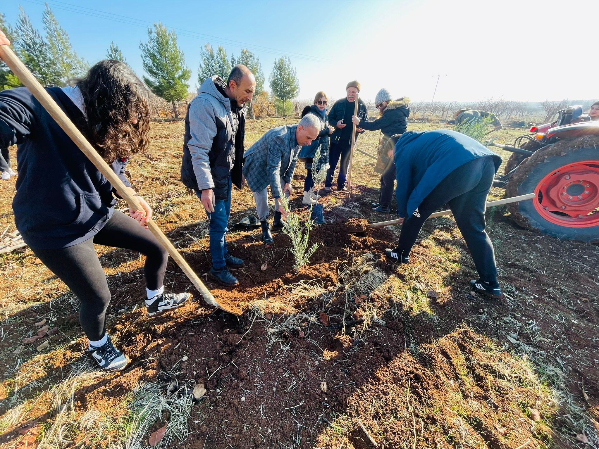 TED Kolejinden meyve bahçesi