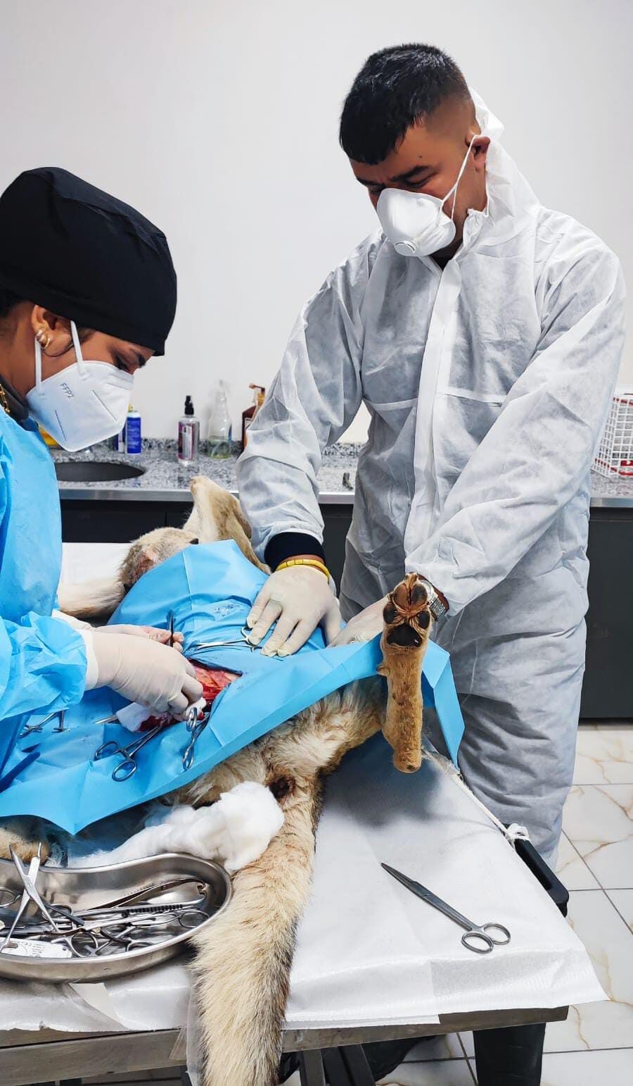 Aşılama çalışmaları devam ediyor