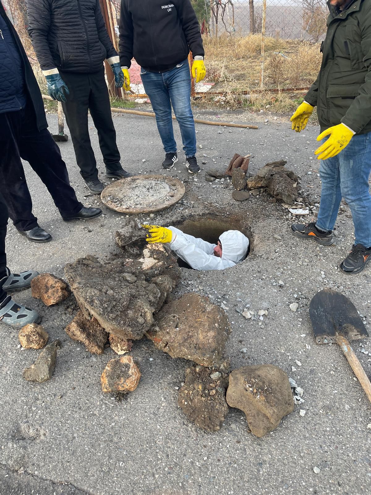 Bacalardan çıkan atıklar şaşırtıyor