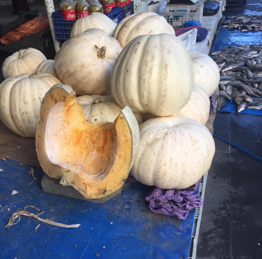 Bal kabakları tezgahlarda