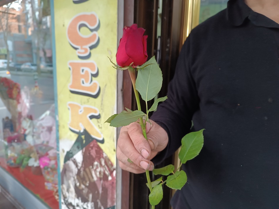 Bir adet gül 100 lira!