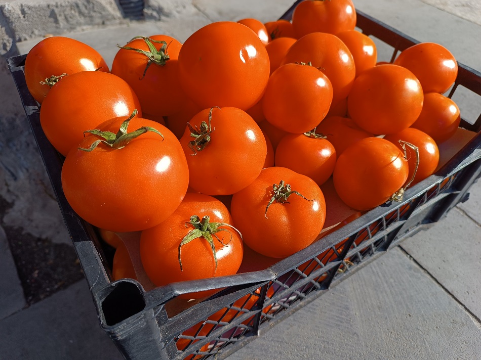 Domates fiyatlarında kış artışı