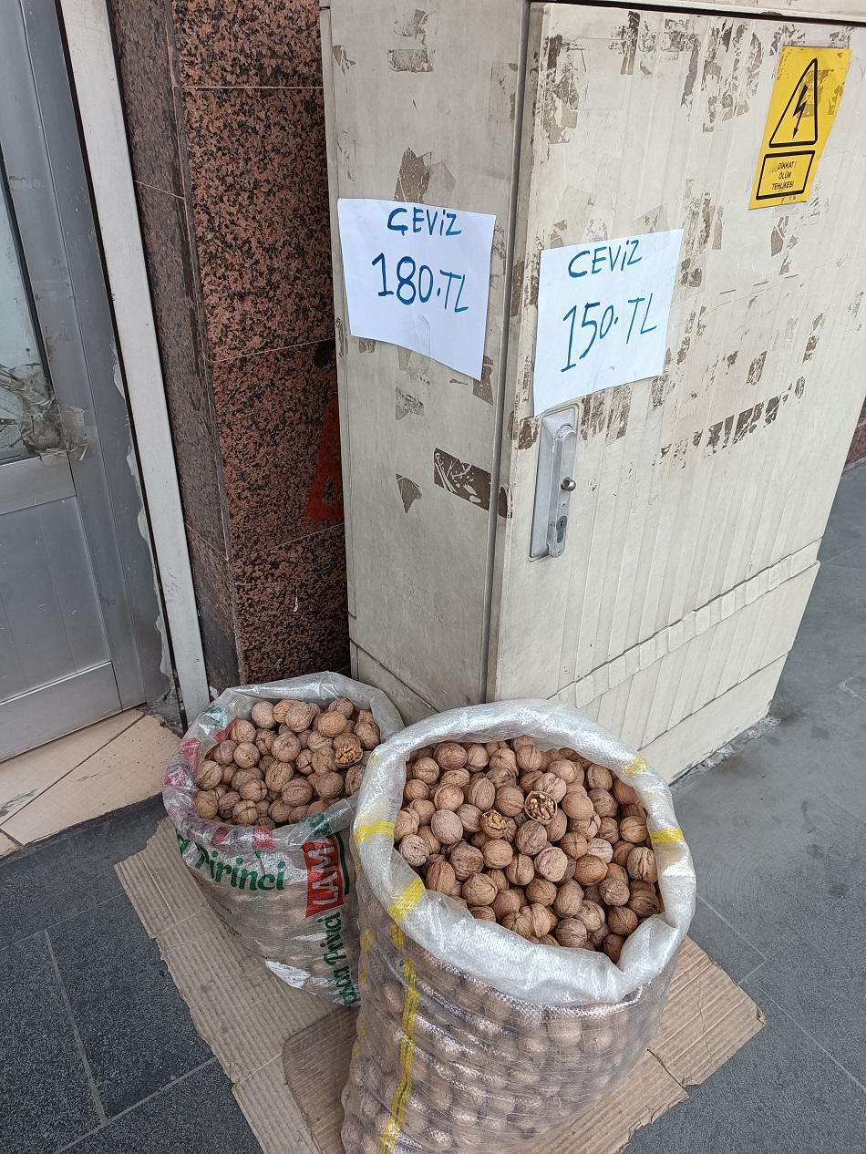 Maraş cevizine büyük talep