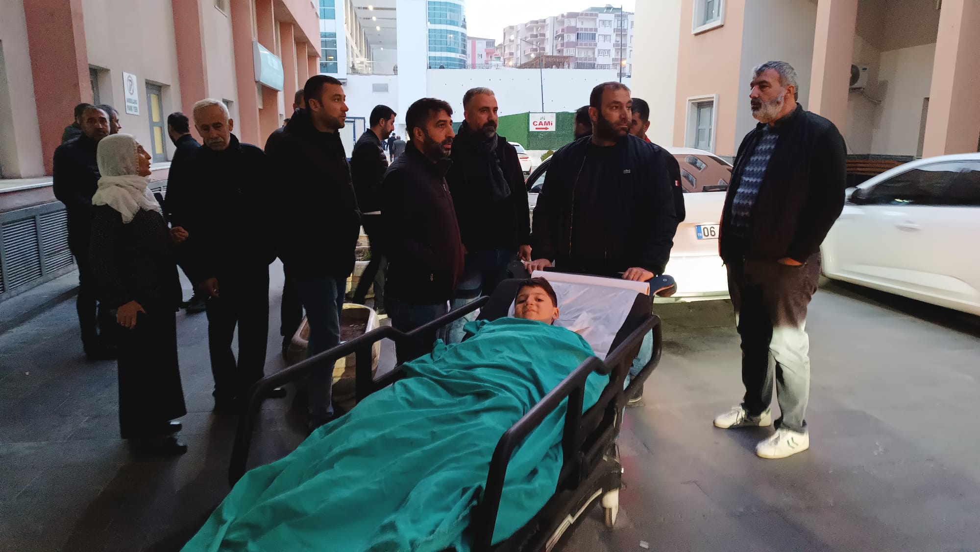 Piknikte köpek saldırısına uğradı