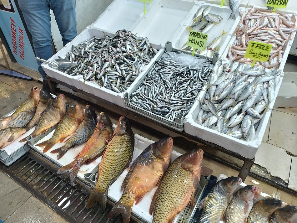 32 Yıllık balıkçı