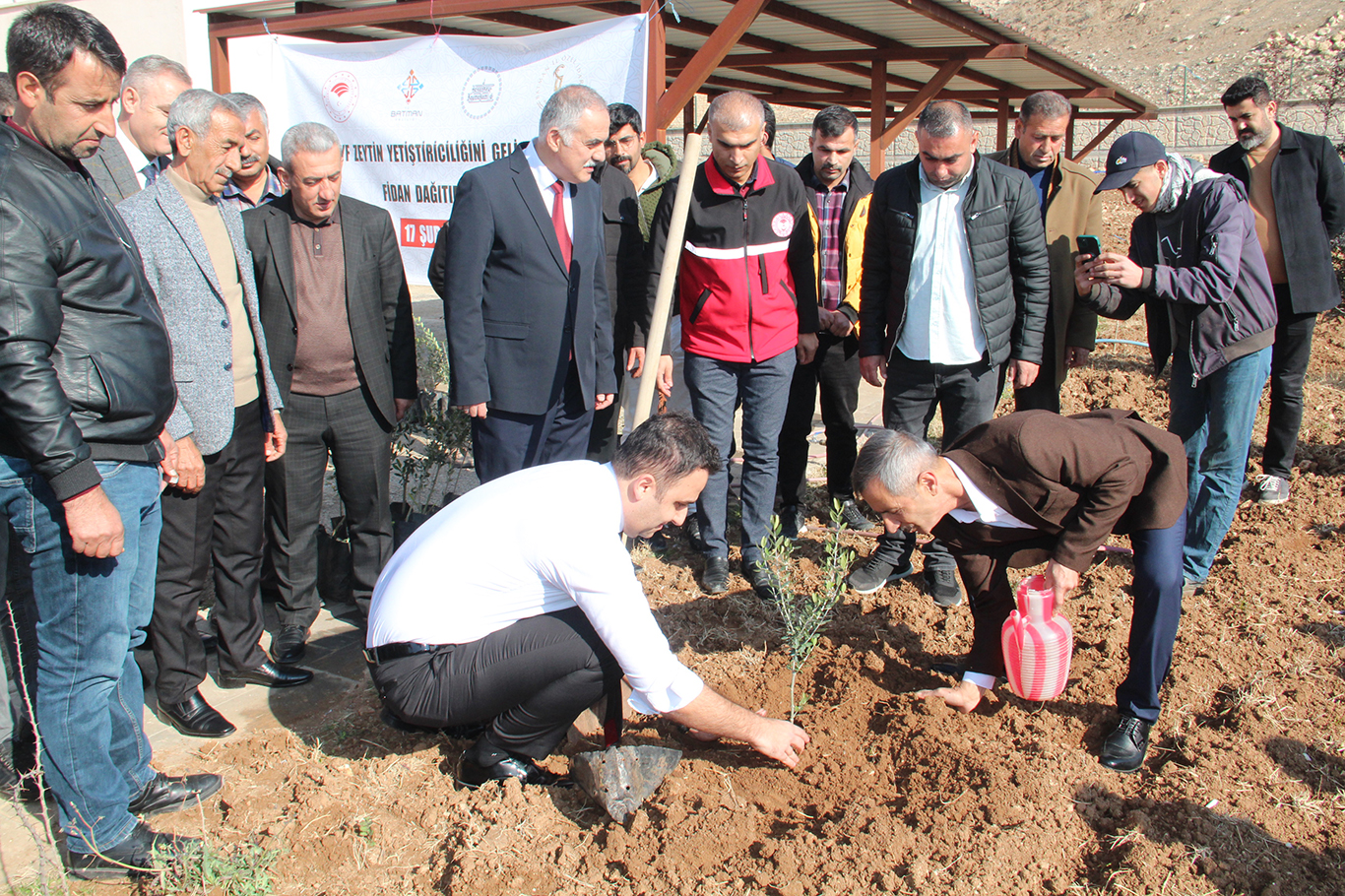 Hasankeyf’te zeytin yetiştiriciliği başlıyor