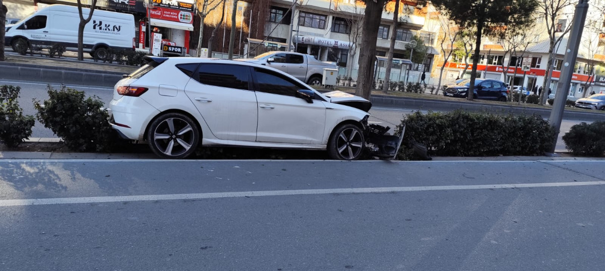 Otomobil refüjdeki ağaca çarptı