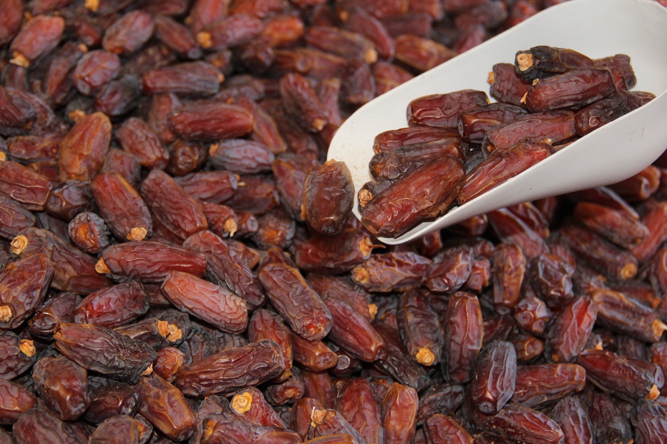 Ramazan öncesi hurmaya büyük talep