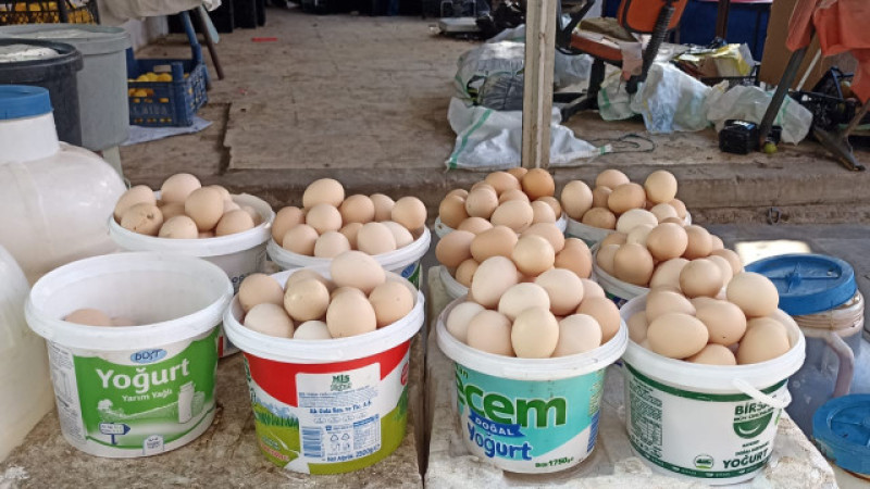 Yumurta fiyatları durdurulamıyor